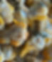 Cockles