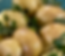 Minted Potatoes