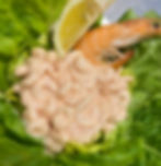Prawn cocktail