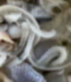 Sweet herring fillets