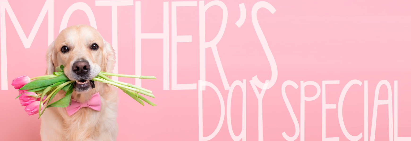 haute_dog_pet_spa_mothers_day_2025_v2_1740x600.png