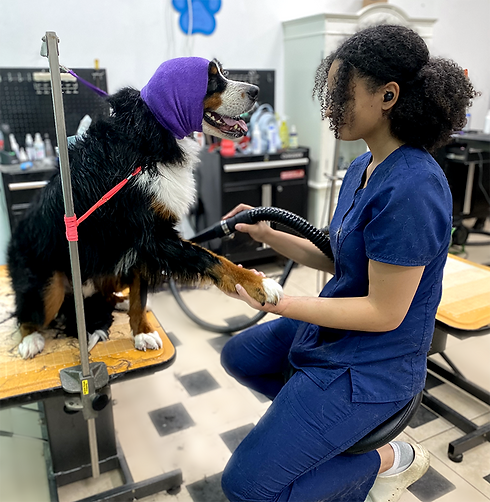 haute_dog_pet_spa_holly_with_dog.png
