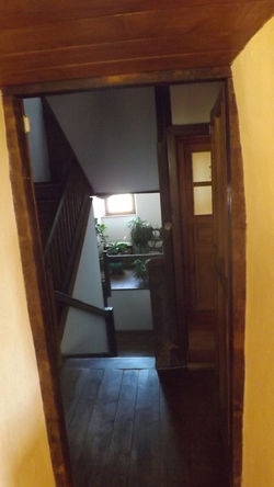 DSCF9808