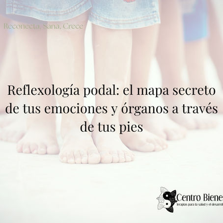 Reflexología podal: el mapa secreto de tus emociones y órganos a través de tus pies