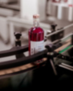 Bouteille de Prose vodka
