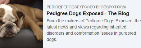 Bulldog Molly'nin Bize Hatirlattiklari