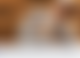 KÖPEKLERİN KAFALARININ KARIŞMASINA NEDEN OLAN YAPTIĞIMIZ 8 ŞEY