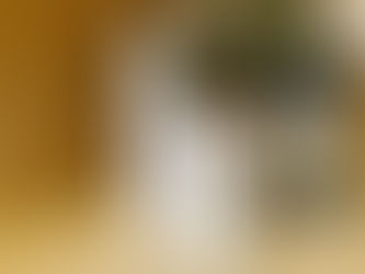 e-WASHオンラインセミナーを開催しました!