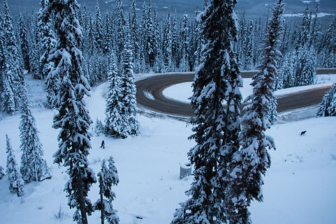 India Jan 18-1-4.jpg