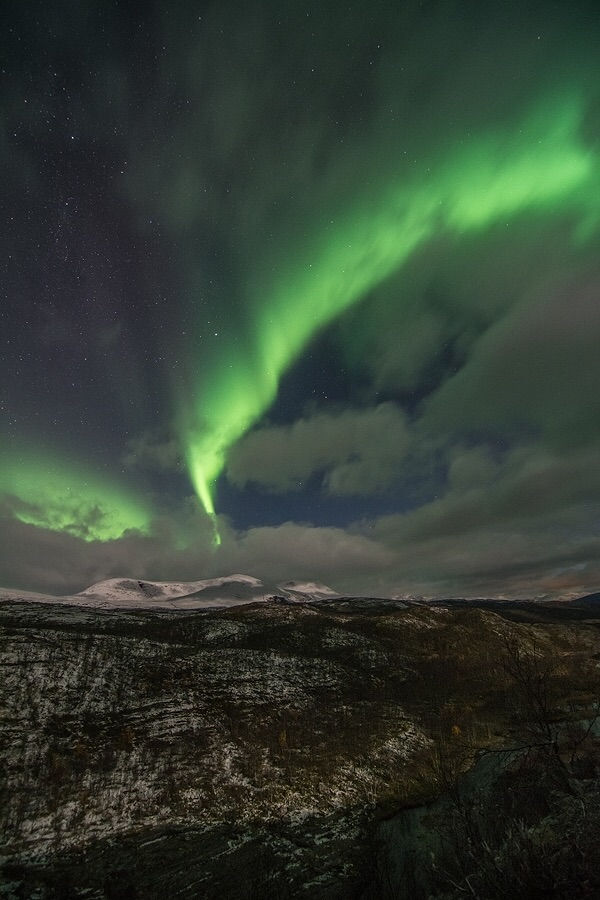 Northern Lights across October sky. Norway-Finland border