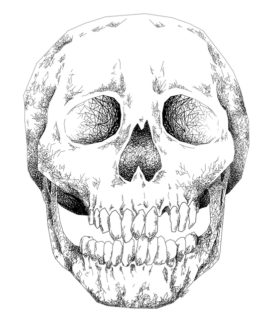 skull lines final.png
