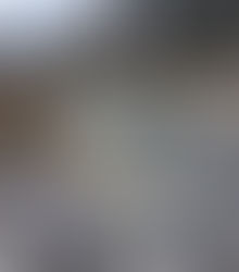 2026年3月そらのこ遠出散歩に行きました