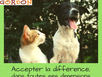 Accepter la différence - dans toutes ses dimensions