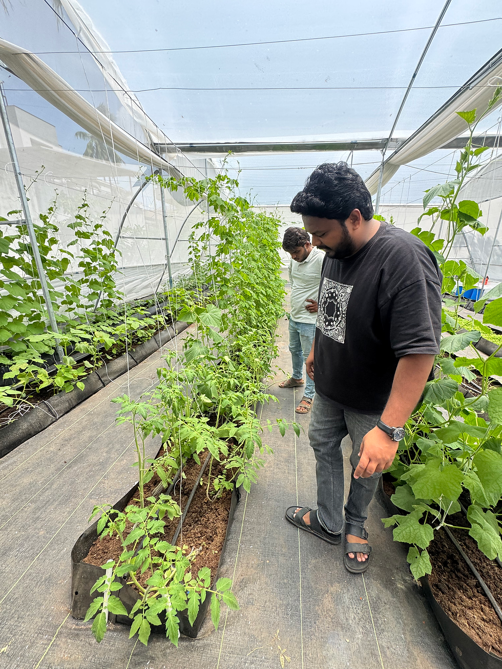 Protected Cultivation team site visit