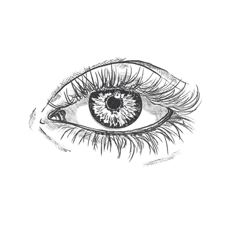 Auge.png