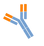 イムノG (2).png