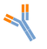 イムノG (2).png