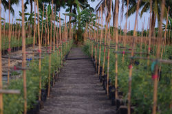 farm02