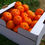 Miniature : 10 kg Mandarinas  Ecológicas Zumo.