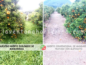 EL GLIFOSATO. El herbicida más utilizado a nivel mundial. ¿La sociedad esta informada?