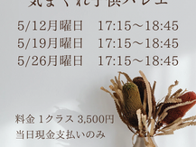 【5月特別開催】小学校4.5.6年生気まぐれ子供バレエ