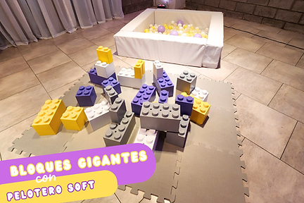 PLACITA (3).png