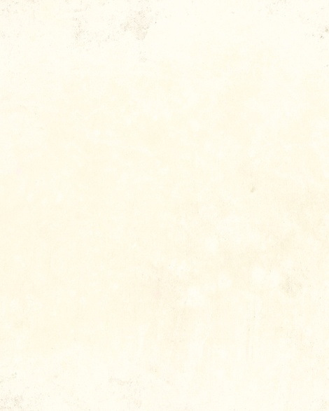 affiche principale (1).png