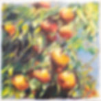 Square drawing of tangerine branch, oil pastels on paper.