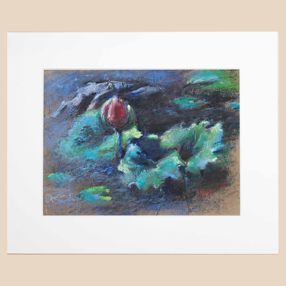 Lotus pond oil pastel drawing. One red flower surrounded by large lotus leaves.