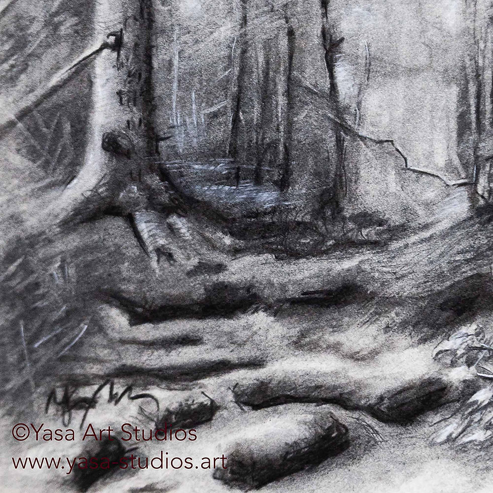 Thumbnail: Rocks and trees detail close up crop.