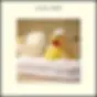New Baby Greetings Card