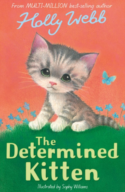 The Determined Kitten by Holly Webb