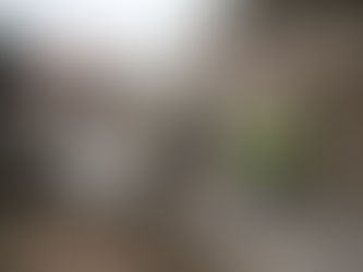 Peña habla con el presidente de Guatemala; ofrece ayuda y reitera solidaridad