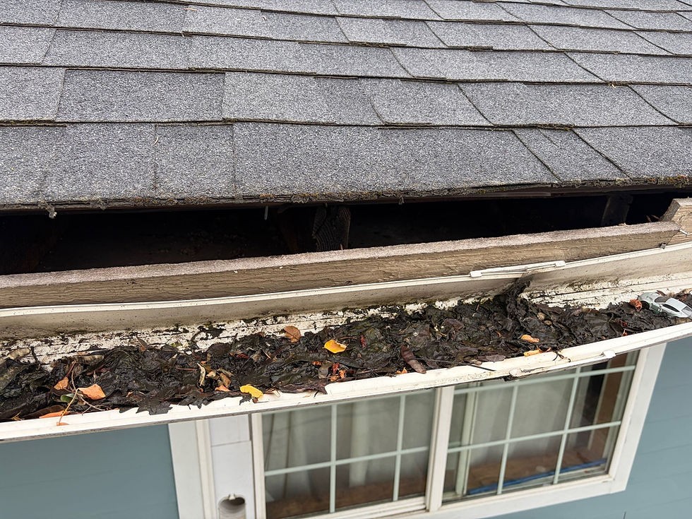 Dirty gutters on fascia detaching from roof line