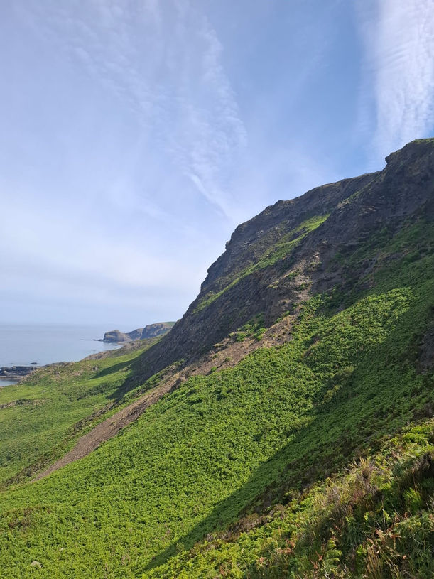 High Cliff on the stretch of coastline roughly two miles past Crackington Haven.
