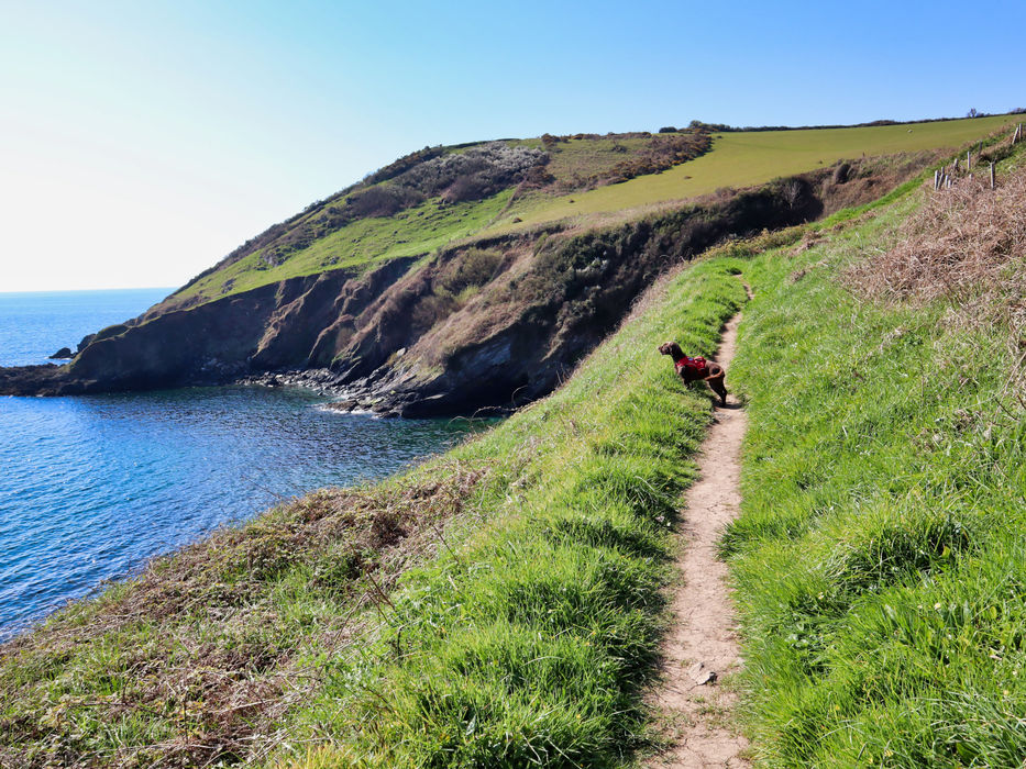 Dog friendly walking holidays with Encounter Walking Holidays