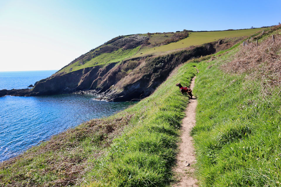 Dog friendly walking holidays with Encounter Walking Holidays