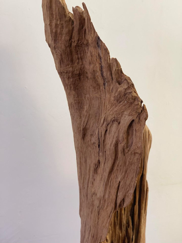 Thumbnail: Freeform Teak Sculpture