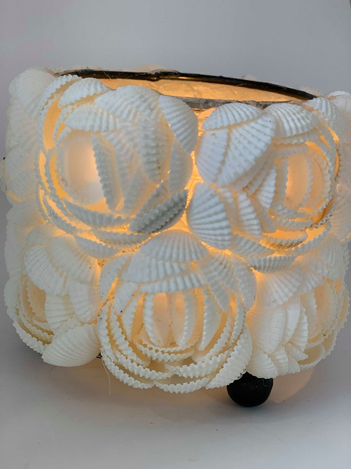 Thumbnail: Shell Lantern