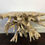 Thumbnail: Freeform Teak Root Table