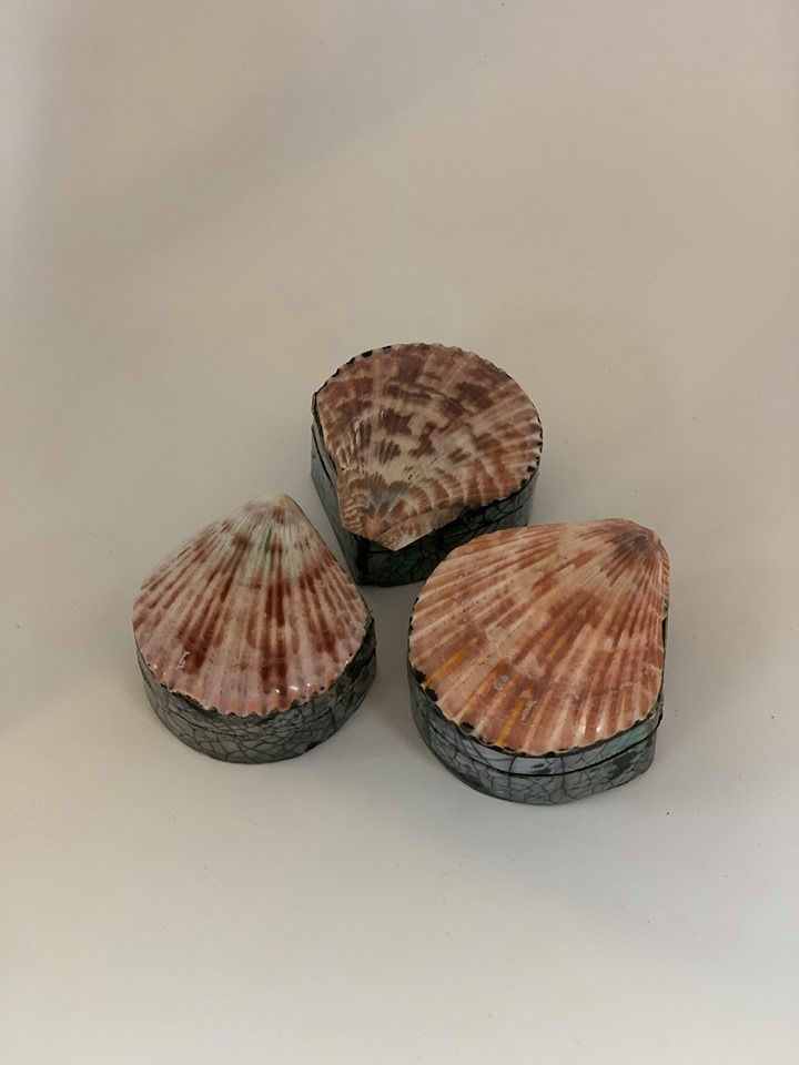 Seashell box Bundle