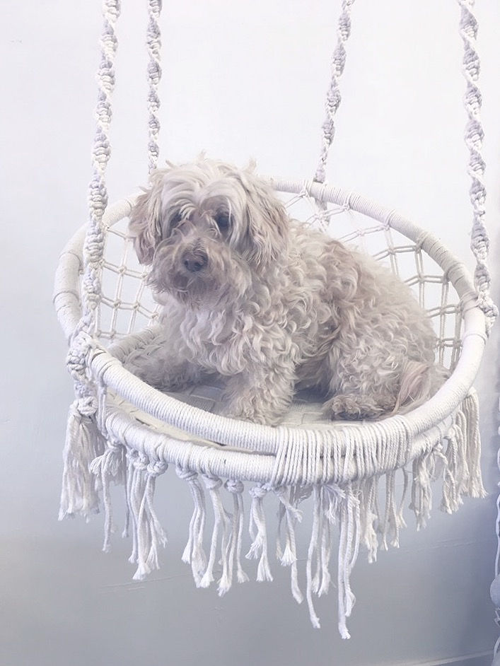 Macrame Swing Chair