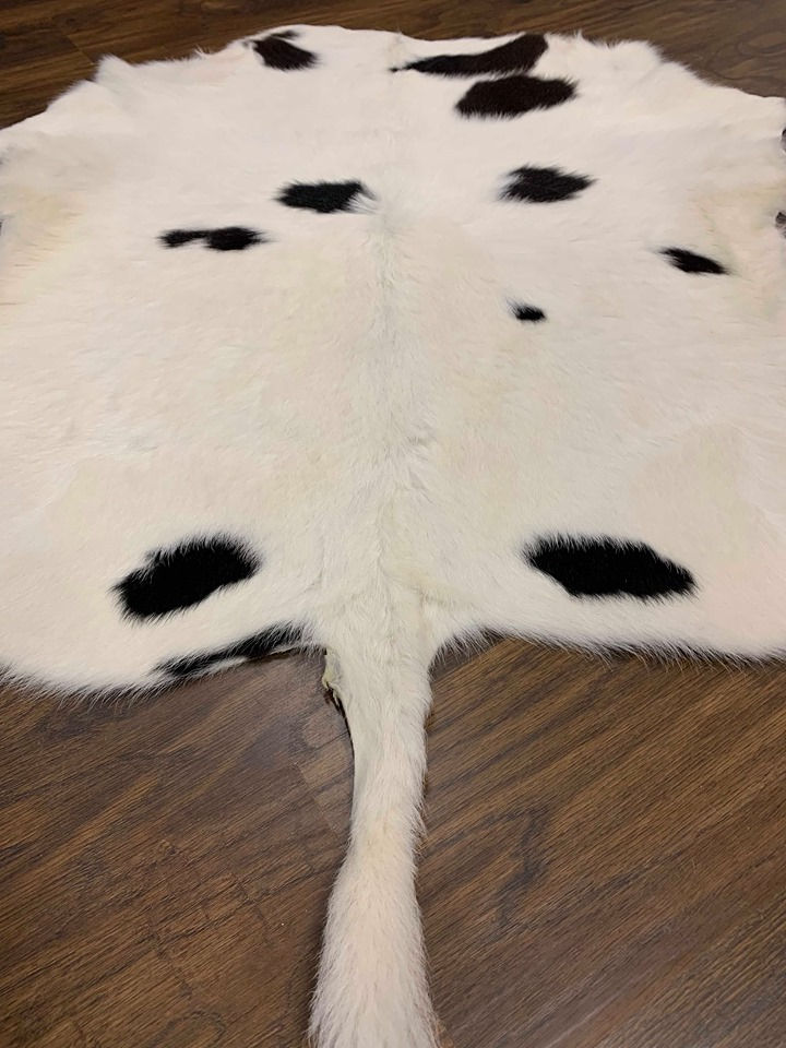 Thumbnail: Calf Hide- 008