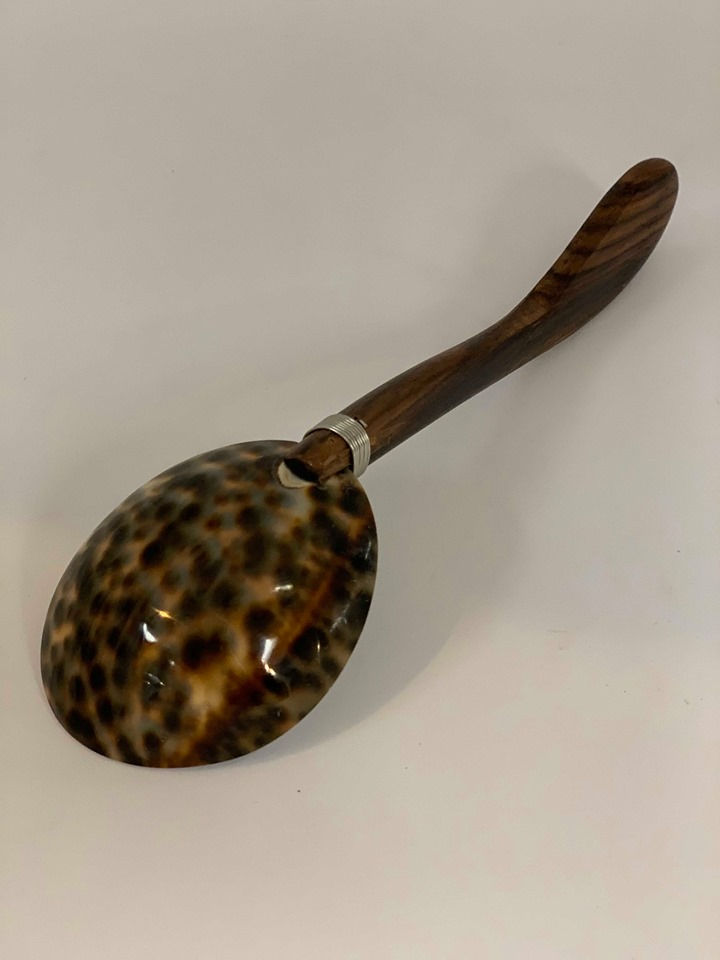 Shell and Timber Spoon