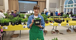 plant sale.jpg