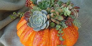 pumpkin.jpg