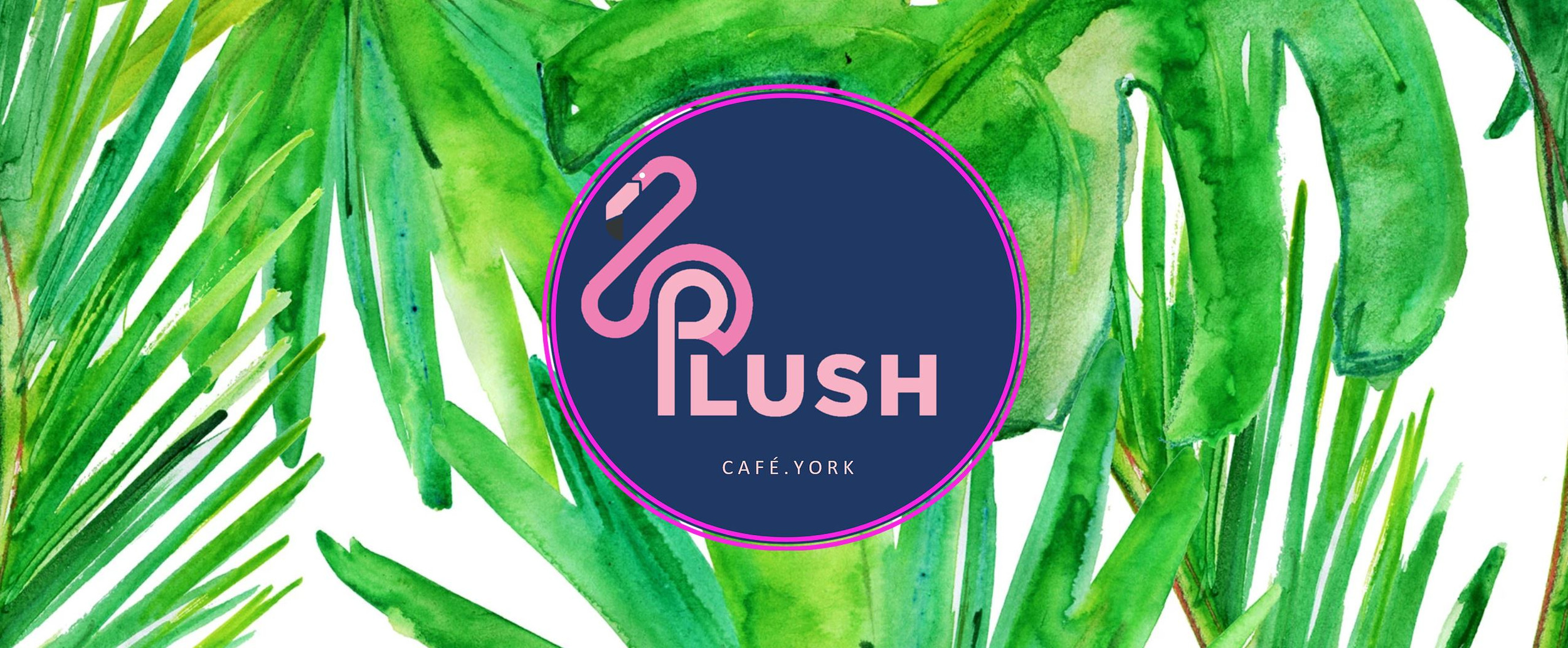 Boutique Store Plush Cafe York