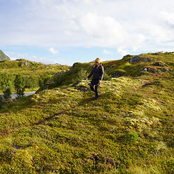 Woman walking in the Northern Norwegian flora searching for berries