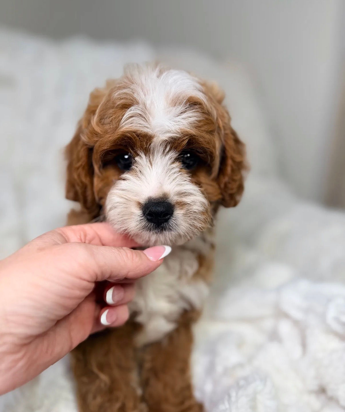 Milo