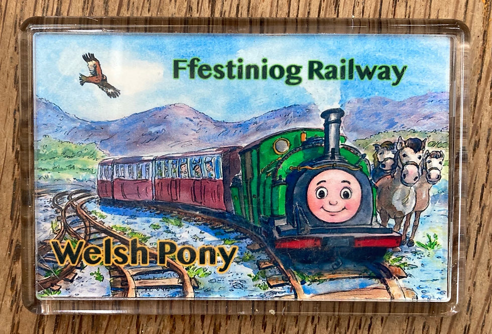 Welsh Pony Magnet (made in UK)